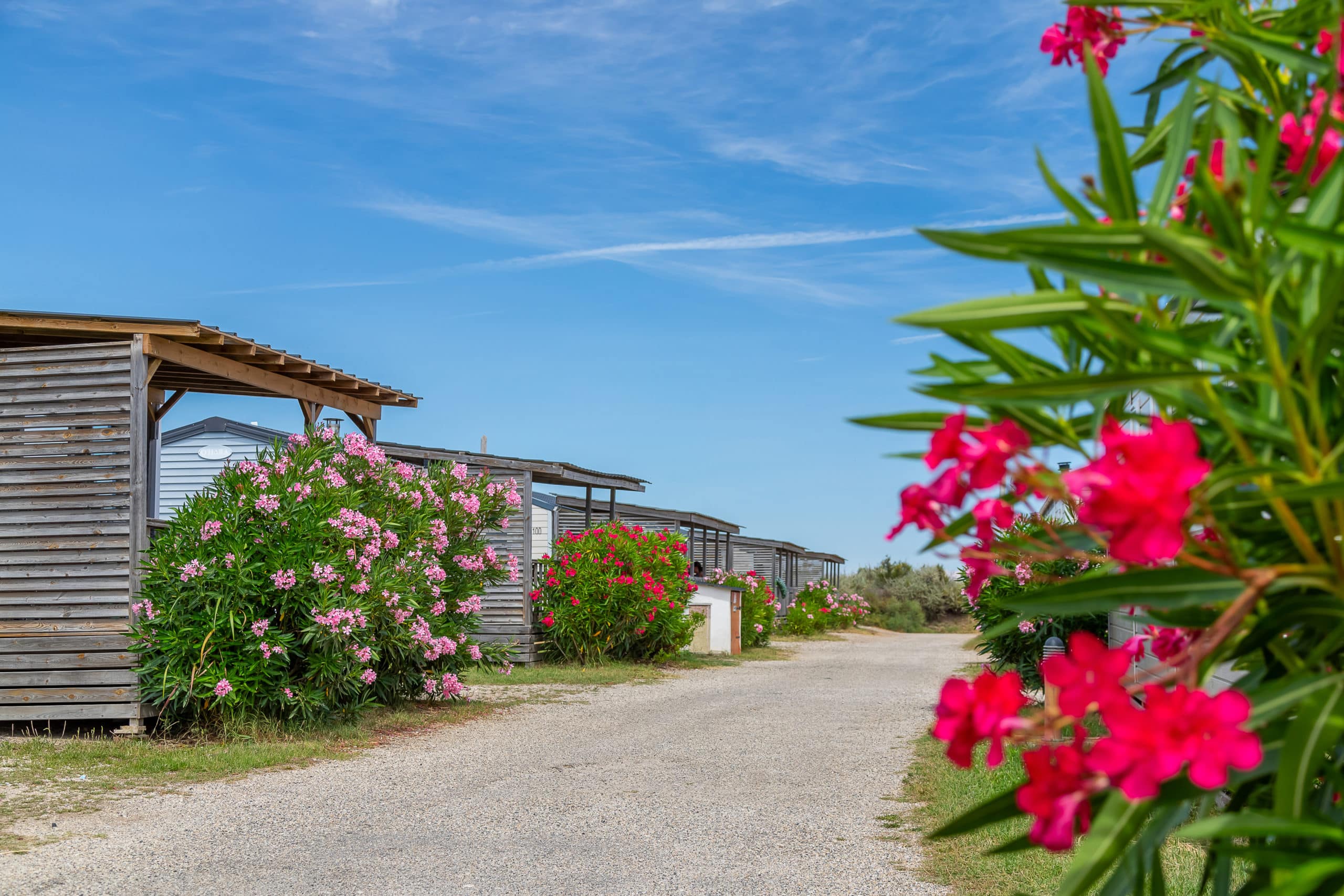 Image intro Camping SEMIS La Brise de Camargue